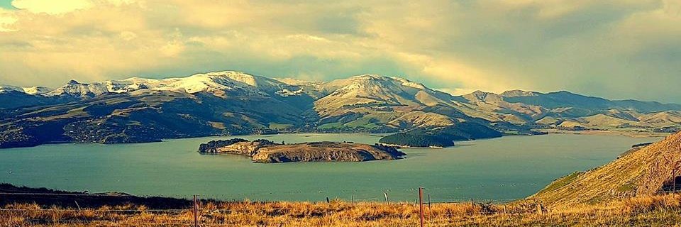 nzsaico's profile banner image