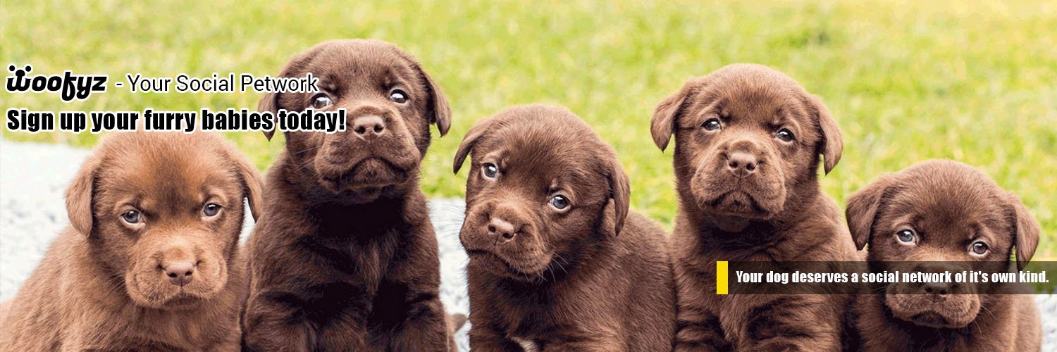 WoofySayz's profile banner image