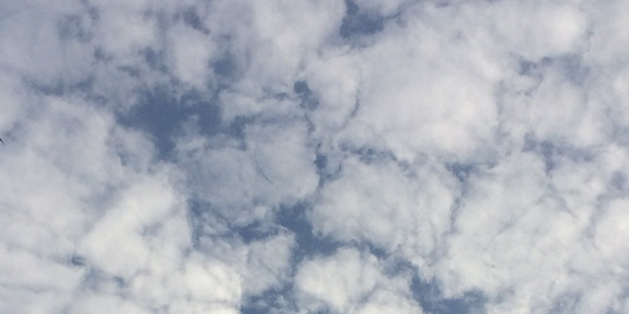 عبدالله ال عبدالله banner