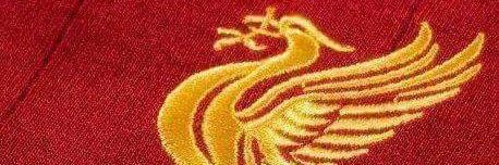 whoolyback's profile banner image