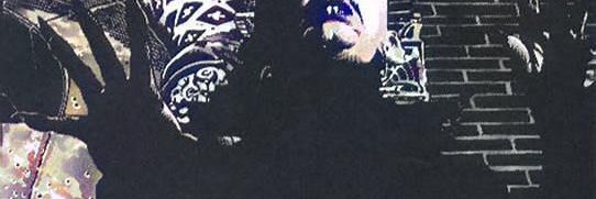 Amir Akbarshahi banner