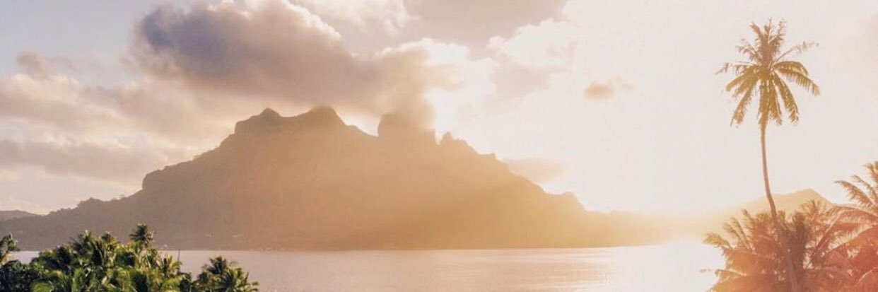 Nigora Mirkhanova banner