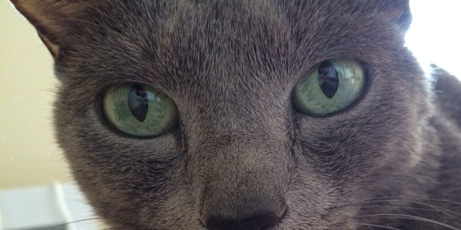 bkobo510's profile banner image