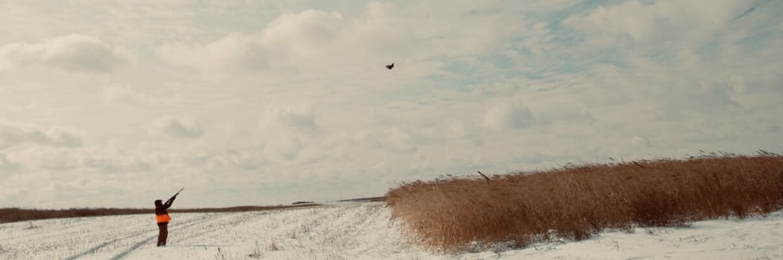 KT25_25's profile banner image