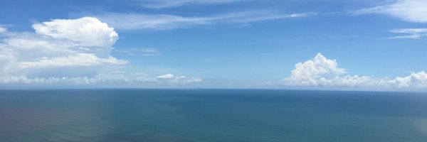 dannaharrick Profile Banner