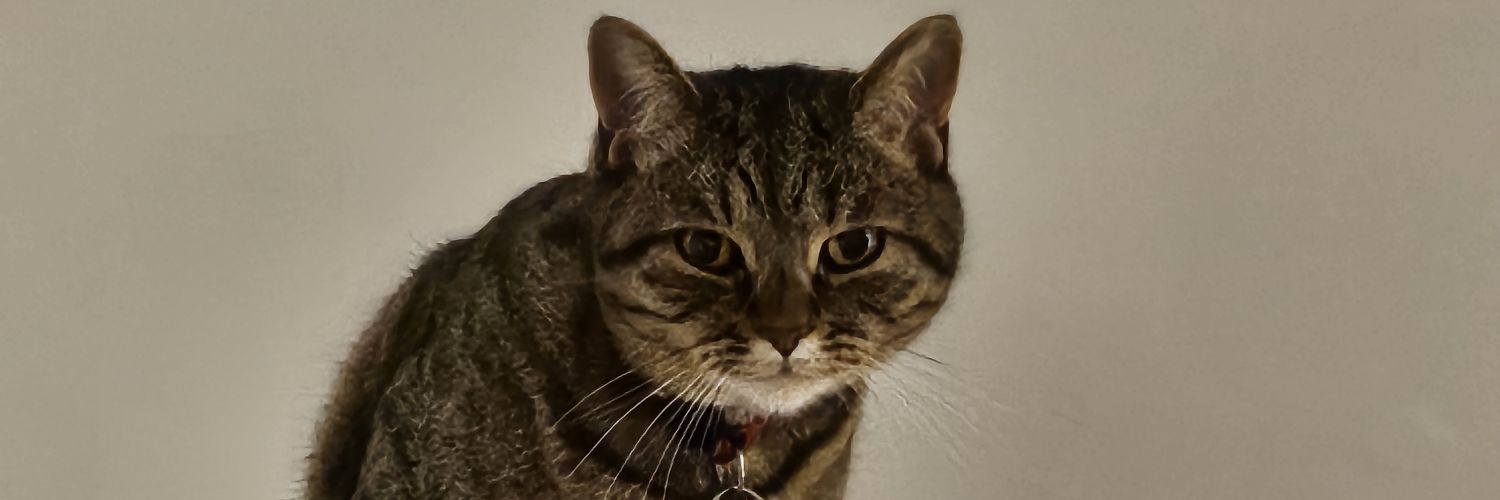 EMZ680's profile banner image
