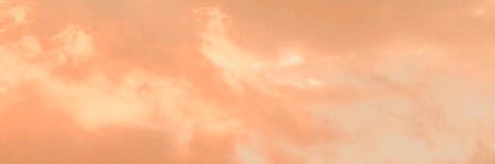 MaxidentBeps's profile banner image