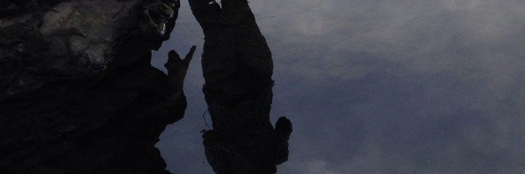 ssssslym's profile banner image