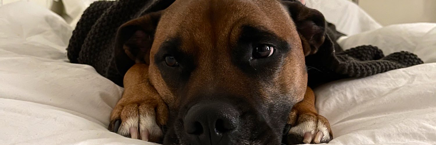 kyleighschmidt's profile banner image
