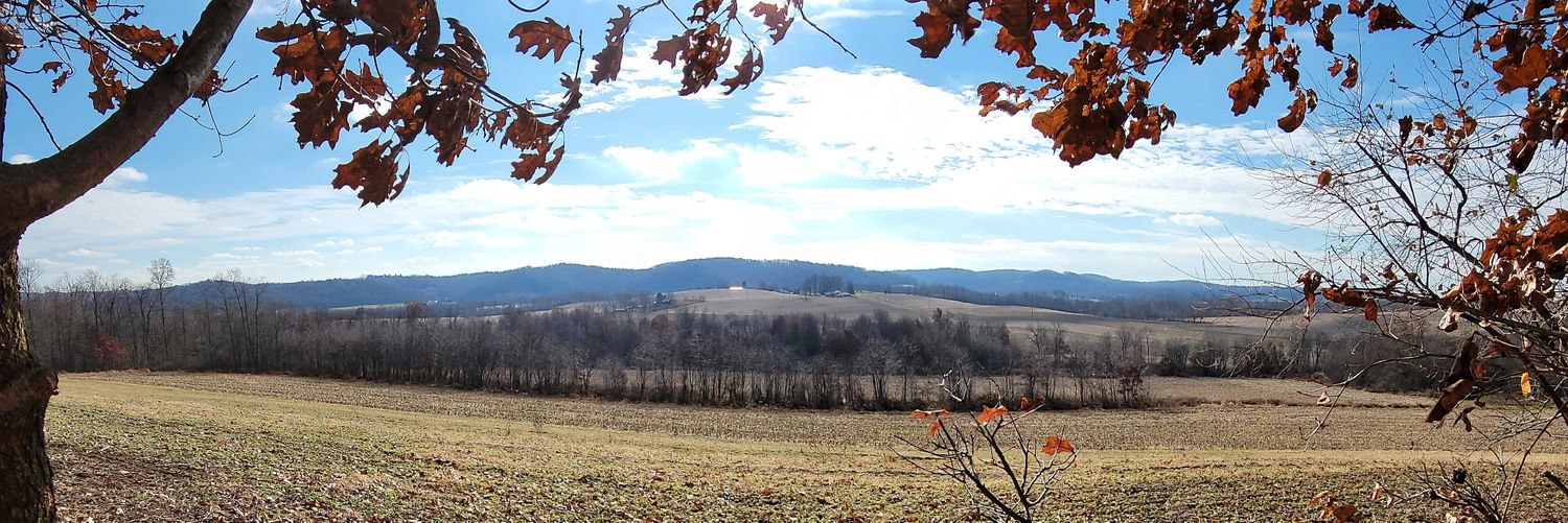 jmf92595's profile banner image