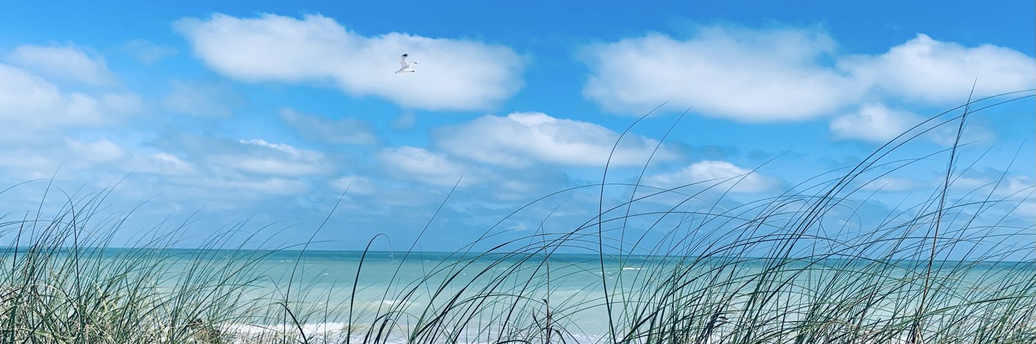 WallStStats's profile banner image