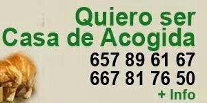 APASOS VITORIA banner