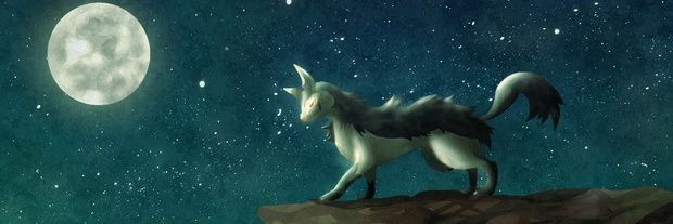 No262_'s profile banner image