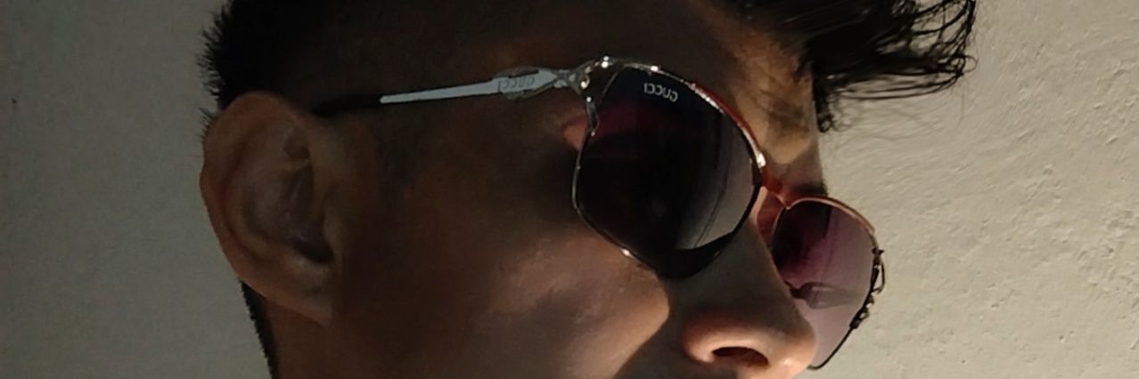 luisaraccini's profile banner image