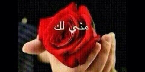 _alharmoudi's profile banner image