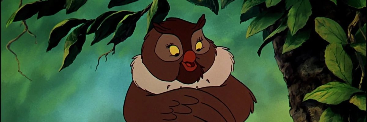 lyssiefowler's profile banner image