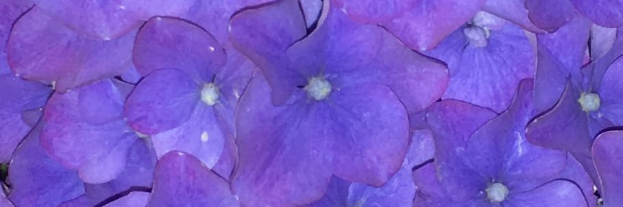 allyblakley's profile banner image