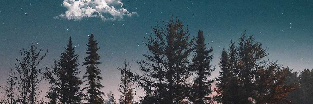 StephyMBean's profile banner image