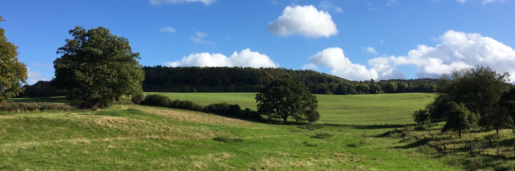 CleavesLiz's profile banner image
