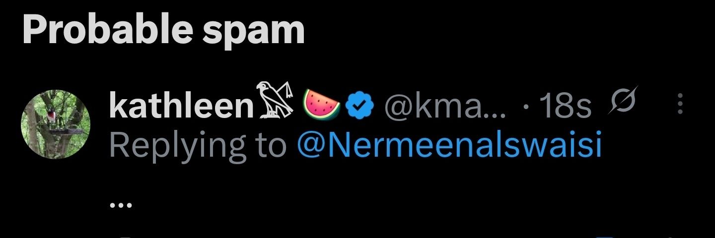kathleen𓅄 🍉 banner