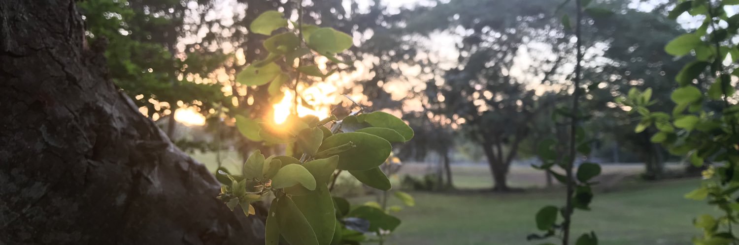 a_kho_'s profile banner image