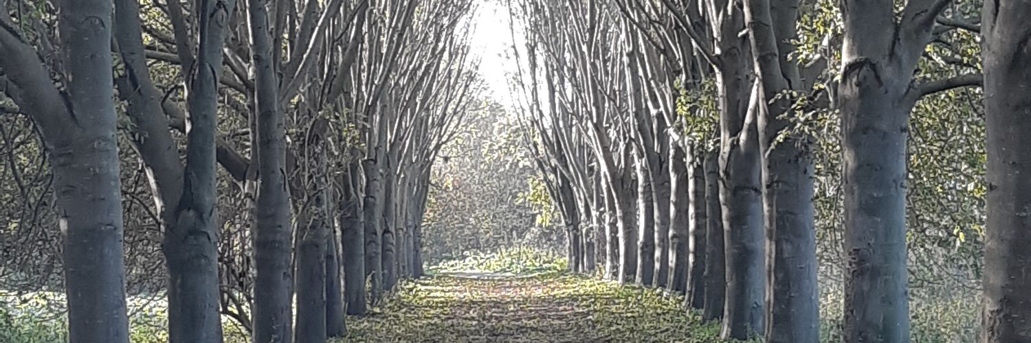 geest071's profile banner image