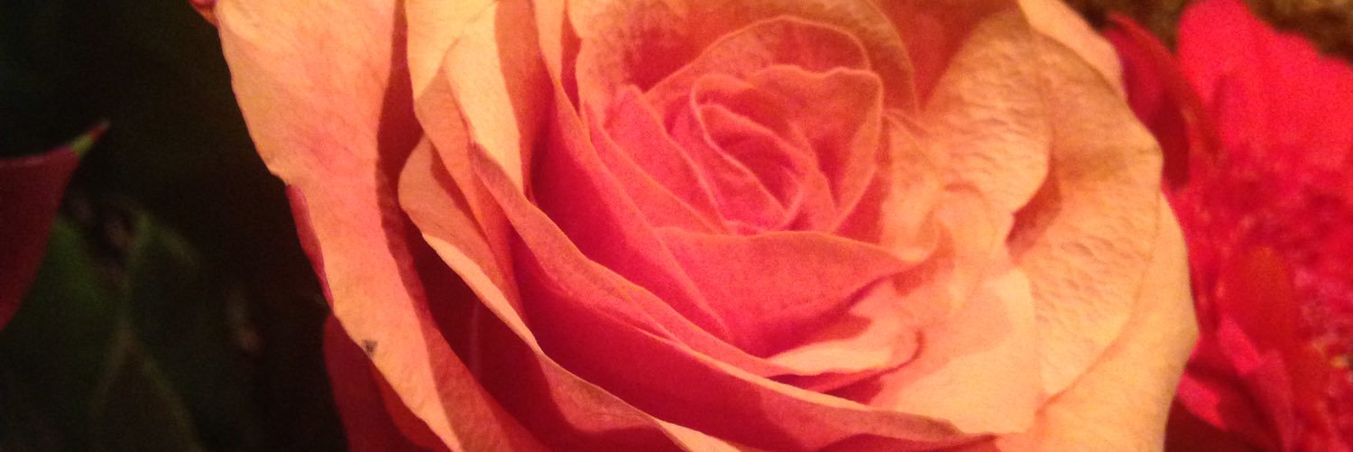 lizzientim's profile banner image