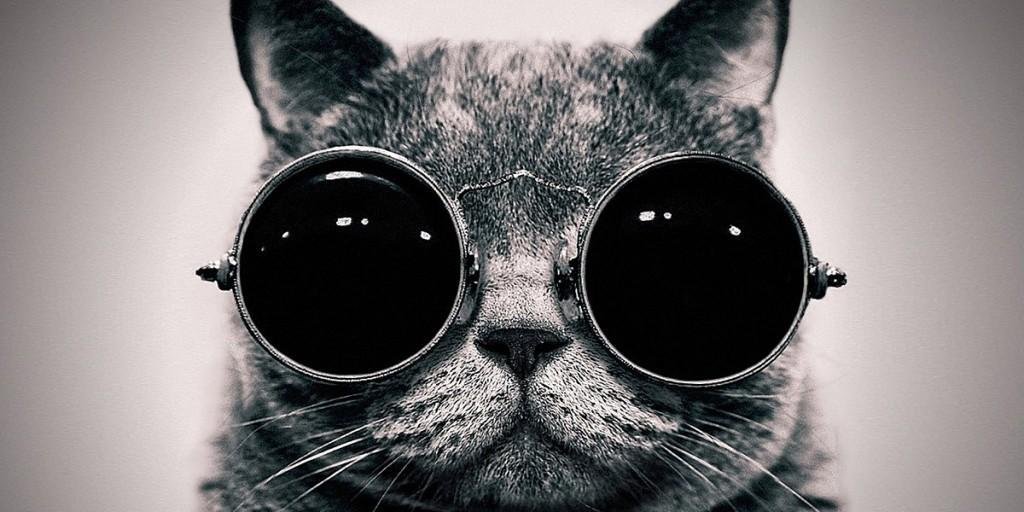 ozgeyavuzzzz's profile banner image