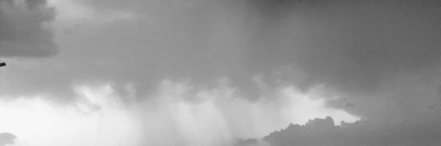 turtle_tortuga's profile banner image
