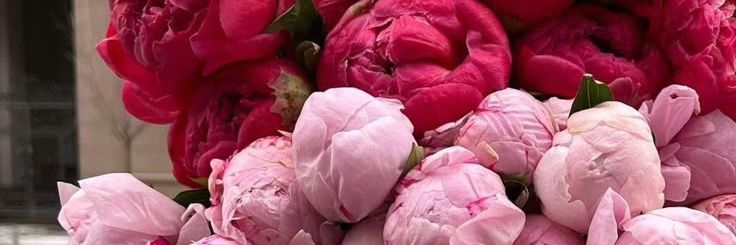 ✨בָּרוּך Chasiah✨ banner