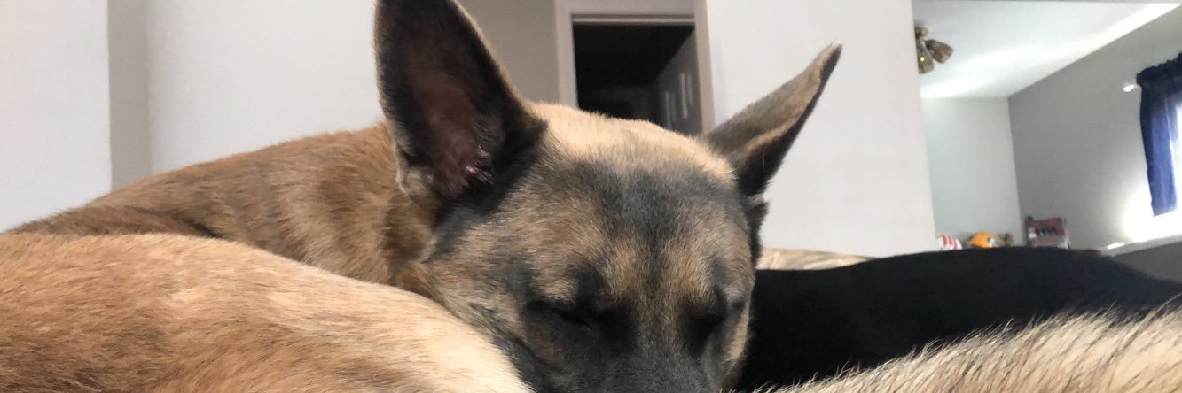 K_Fallon1's profile banner image
