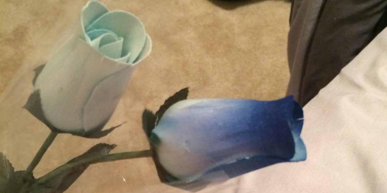 BombshellBellaM's profile banner image