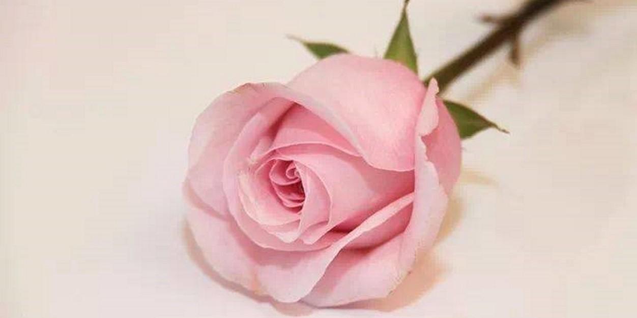 Atirah_Nadia1's profile banner image