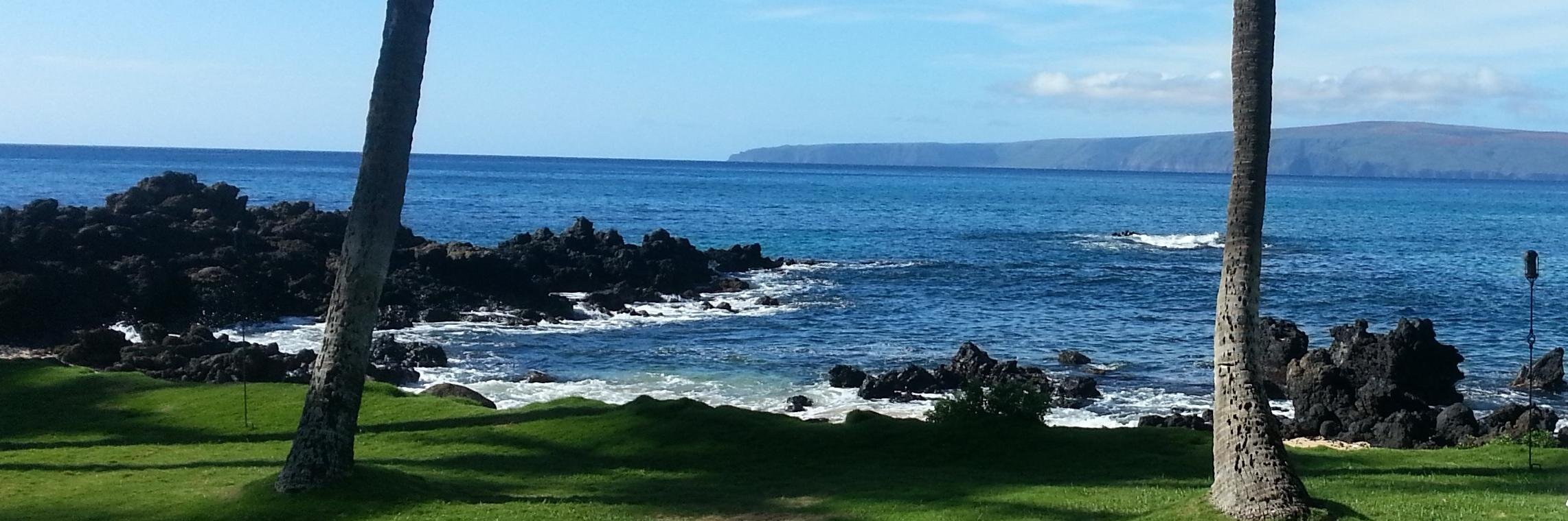 Coder || Trader banner