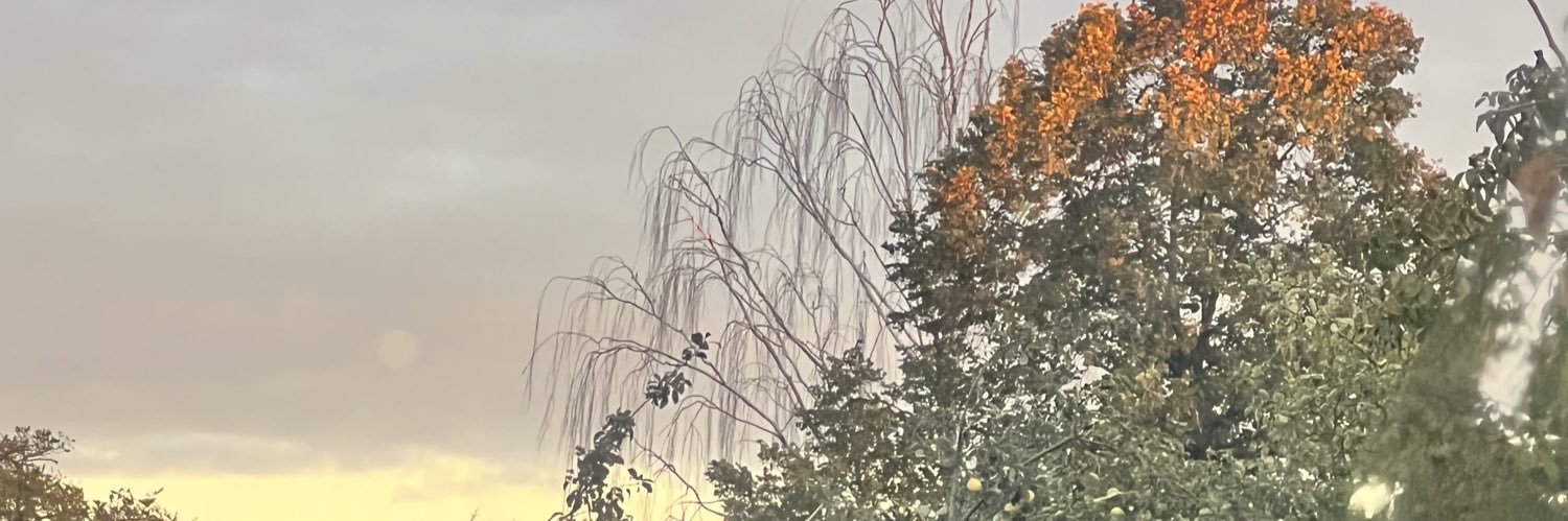 joons_bae's profile banner image