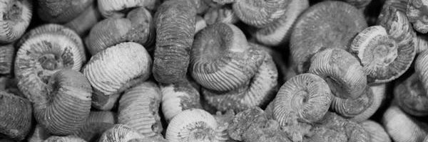 Michał S. 🇵🇱 banner