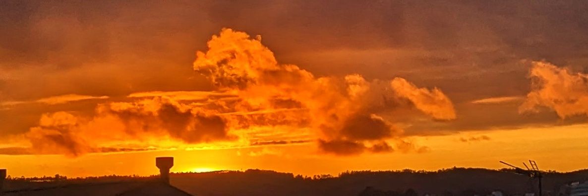 Alex 🦁🦆🌌 banner