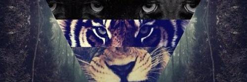 Anavera30Ana's profile banner image