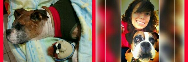 _September_____'s profile banner image