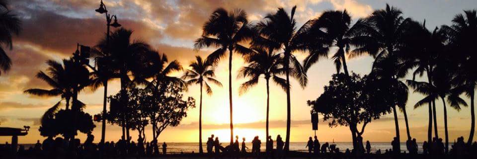 rachelsliter's profile banner image