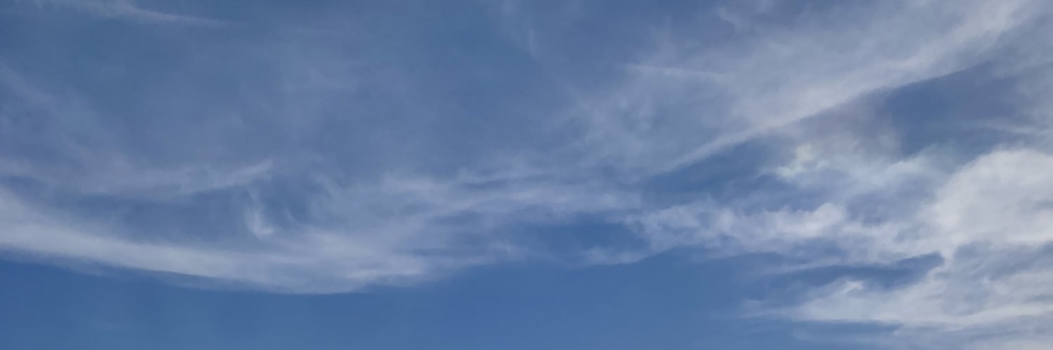 lonzmarie's profile banner image