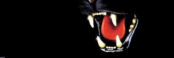 MarkieOh Profile Banner