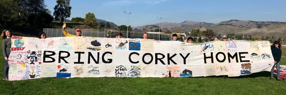 CorkyDocumentary banner