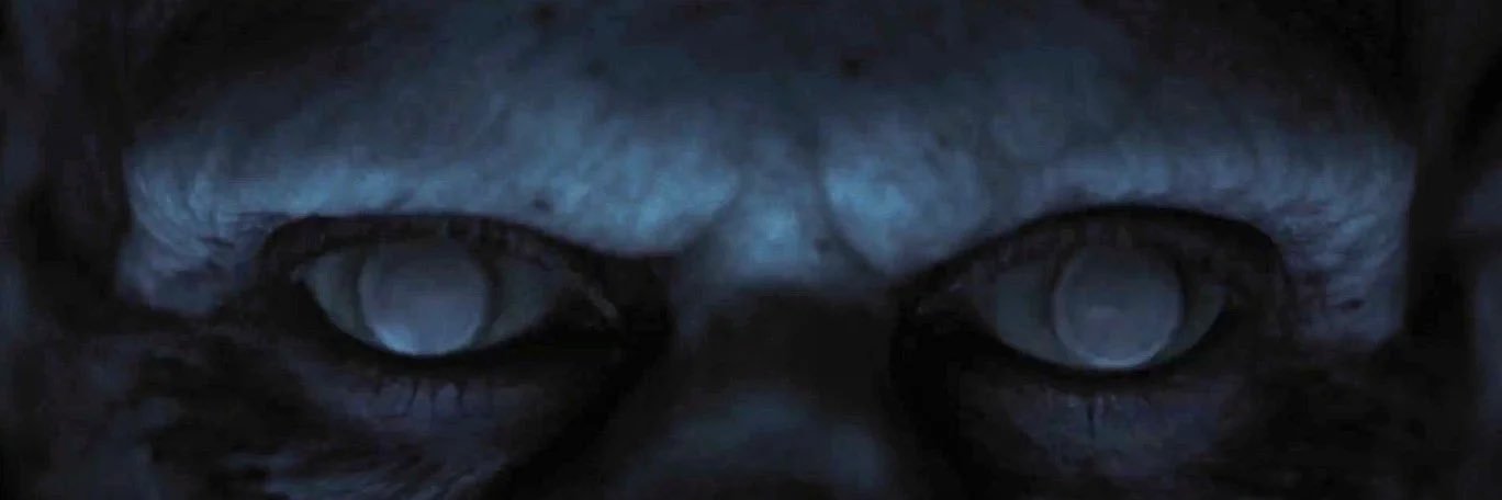 cheonsachels's profile banner image