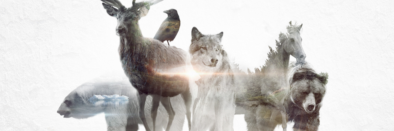 Lorrenze's profile banner image