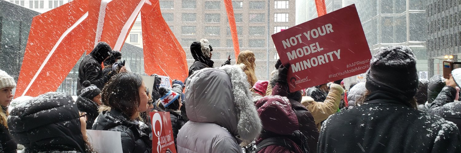NAPAWFChicago's profile banner image