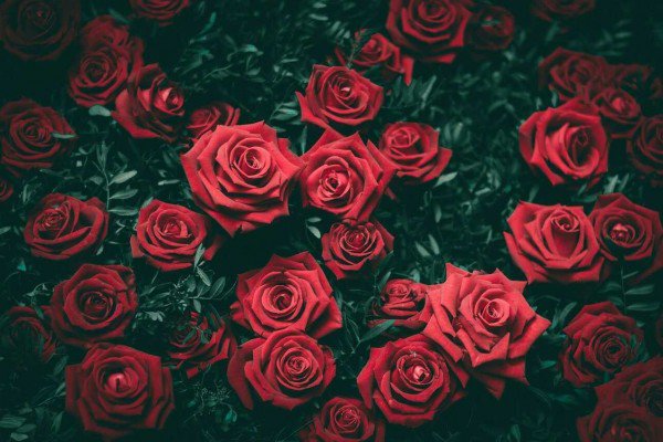Diary_noona's profile banner image