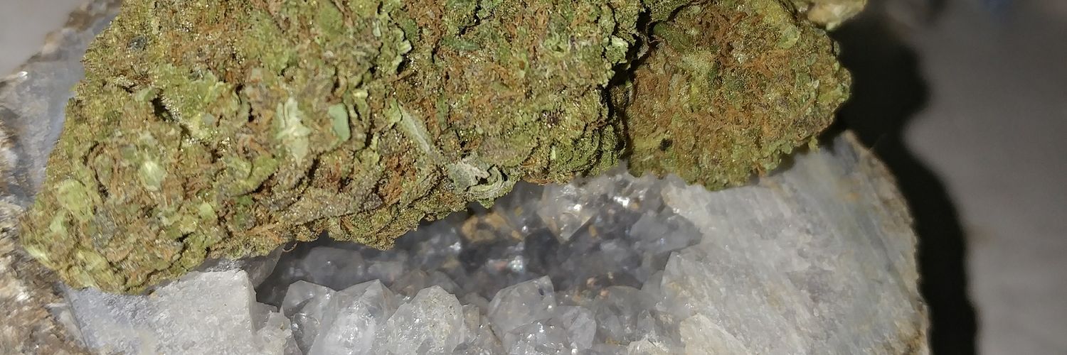 Spice_12's profile banner image