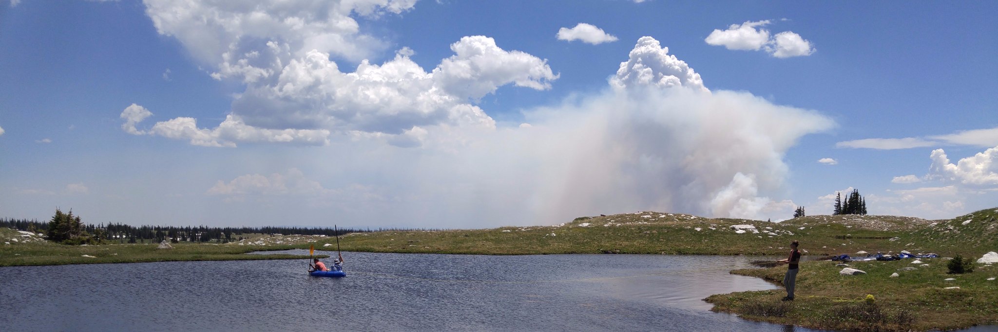 Bryan Shuman | Promote democracy, condemn violence banner