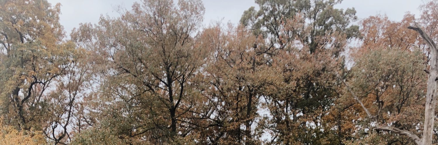 _alyssa5_'s profile banner image